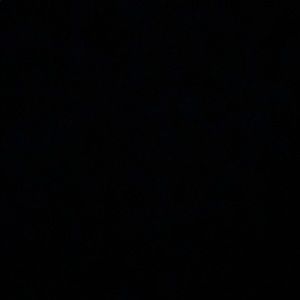 Meet your Posher, Chase